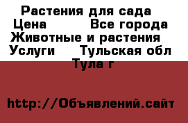 Растения для сада › Цена ­ 200 - Все города Животные и растения » Услуги   . Тульская обл.,Тула г.